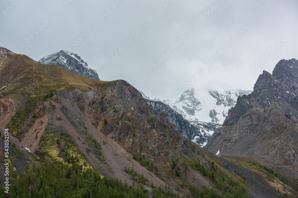 High mossy mountains with trees against large snowy mountain range with sharp rocks in rainy low clouds. Scenic view to forest mountainside and snow mountains in gray cloudy sky in changeable weather.