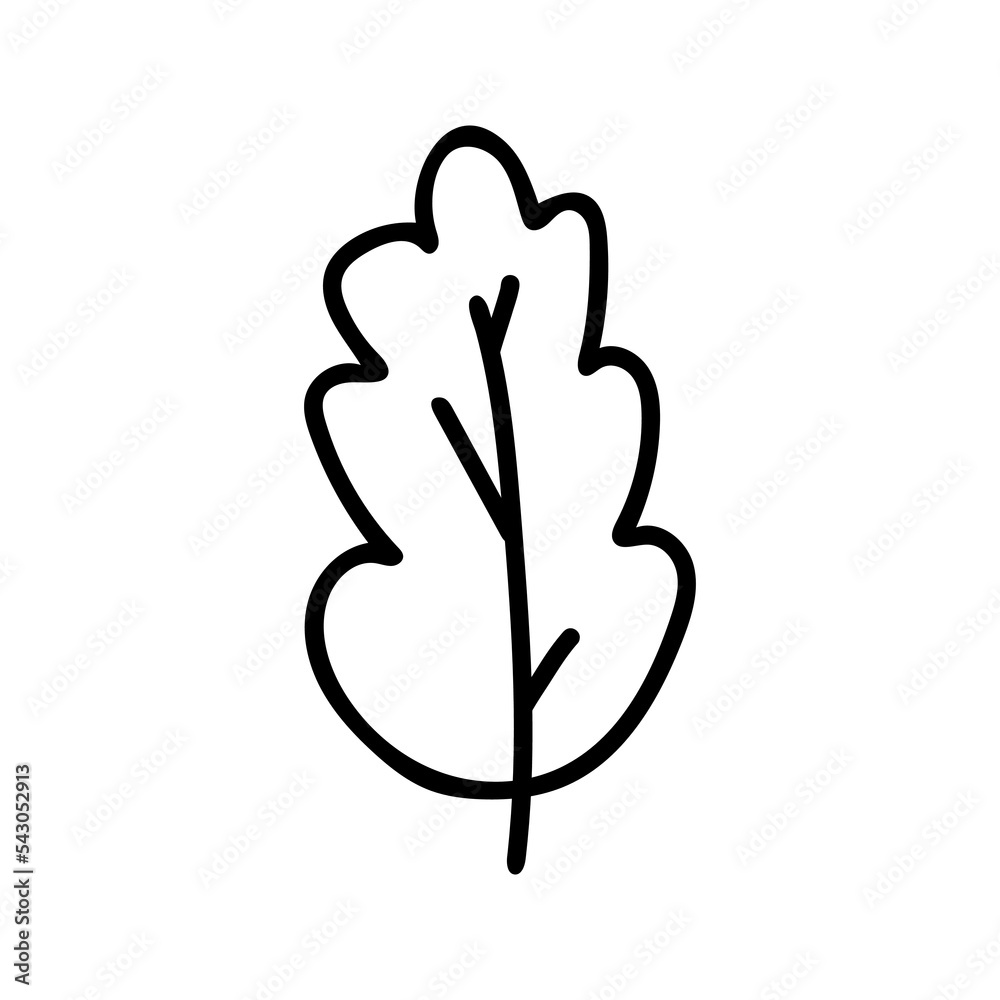 Hand drawn doodle style vector illustration of single oak tree leaf. Black sketch isolated on white. Can be used for coloring book