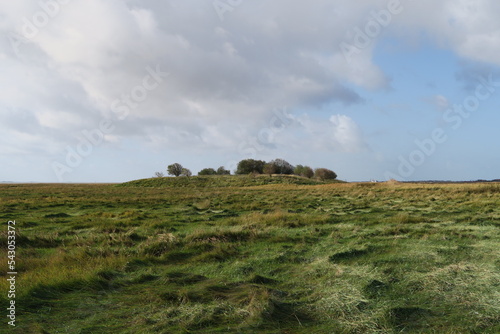 Tableau sur toile Inmitten der Salzwiesen auf der Nordseeinsel Baltrum wachsen Bäume auf einer Anhöhe