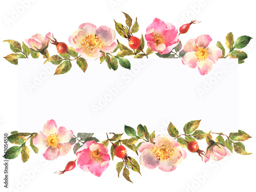 Watercolor hand painted wild rose floral banner isolated on white background.