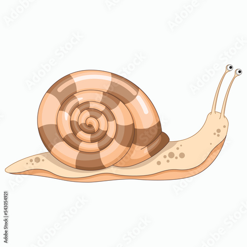 Vector Snail cartoon illustration.
