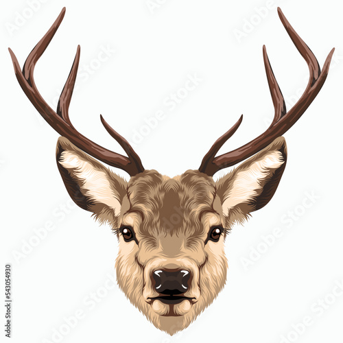 Deer head vector illustration.