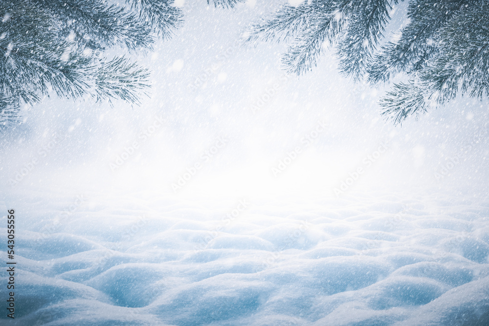 Winter Christmas background with snowy pine branches and snow heap - obrazy, fototapety, plakaty 