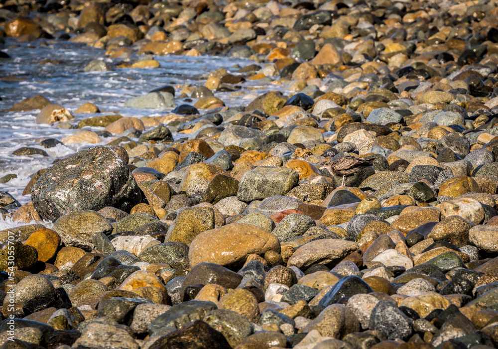 Rocky shoreline at Pescadora Beach in Baja California, Mexico