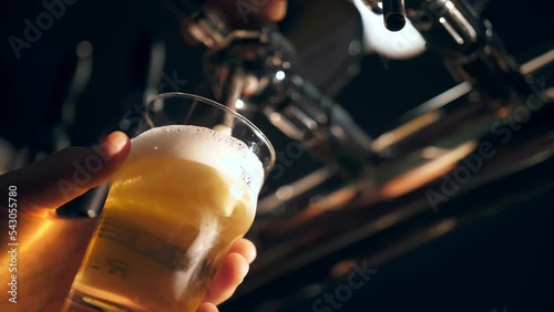 the bartender pours beer into a glass. Close-up view of barman's hand filling glass with light beer, at bar table, at pub. Pouring beer into mug, at beer bar