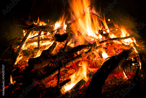 Big beautiful bonfire on black background. Real fire flames. Burning. Ignited. Night campfire. Orange color. Nature landscape. Outdoors recreation. Autumn garden cleaning. Hot. Close-up side view