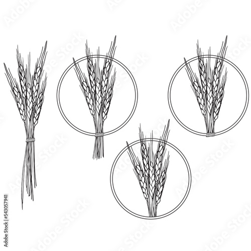 set of four black and white illustrations of wheat in bundles