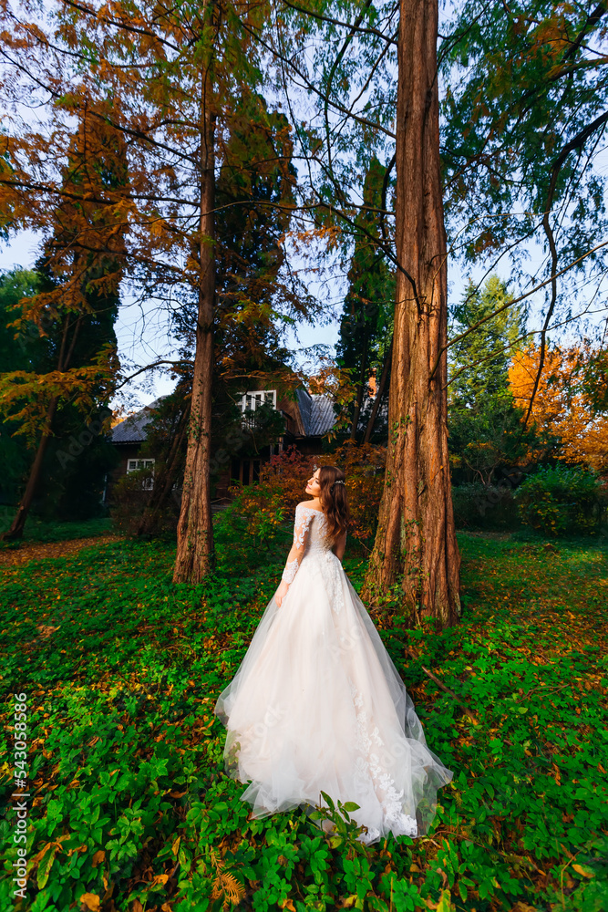 Fototapeta premium beautiful bride in a chic dress in the autumn park