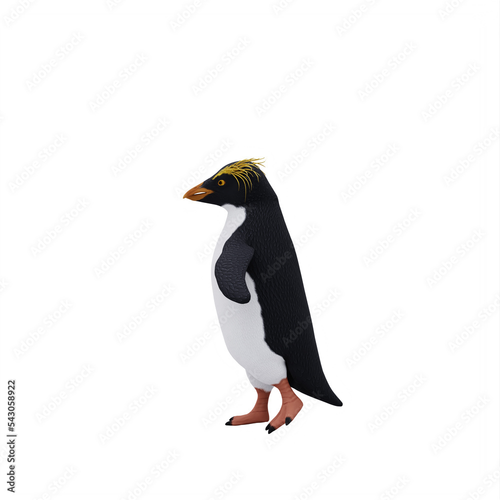 Fototapeta premium Erect crested penguin isolated
