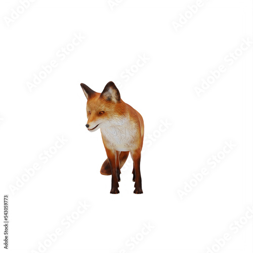 red fox isolated on white