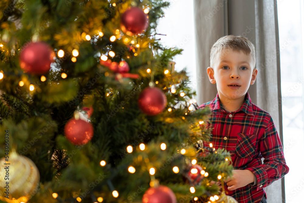 Little boy is decorating the Christmas tree