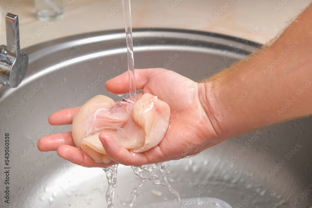 A man washes defrosted raw chicken fillet. Fresh raw chicken breast for cooking chopped chicken cutlets. A man washes a chicken fillet under a stream of water for home cooking. A man washes defrosted raw chicken fillet. Fresh raw chicken breast for cooking chopped chicken cutlets. A man washes a chicken fillet under a stream of water for home cooking.