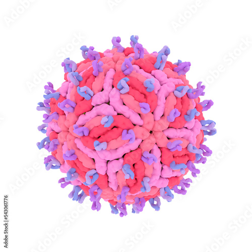 West Nile virus (WNV) with its protein envelope. The west nile virus can cause encephalitis in humans. It is transmitted by mosquitoes. 3d illustration photo