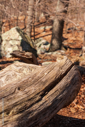 wooden log