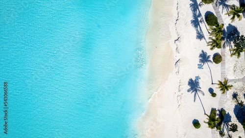 Aerial top down view of a tropical paradise beach with fine sand, coconut palm trees and turquoise shining sea in the Caribbean with copy space photo