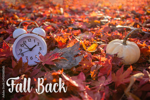 Fall Back text Daylight Saving Time vivid red autumn leaves background in morning light