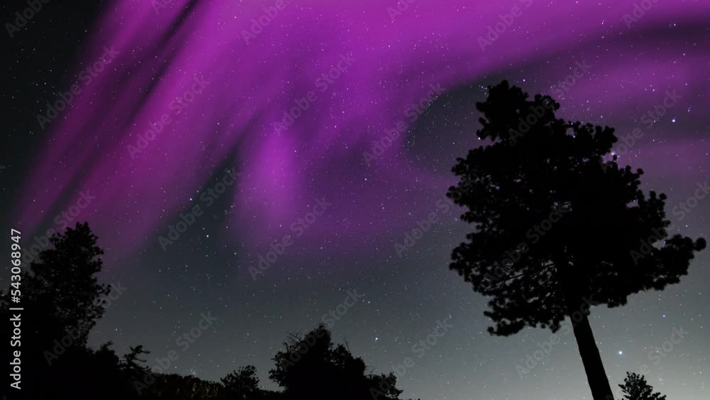 Aurora Borealis Green Loop Pine Trees Black Sky Northern Lights