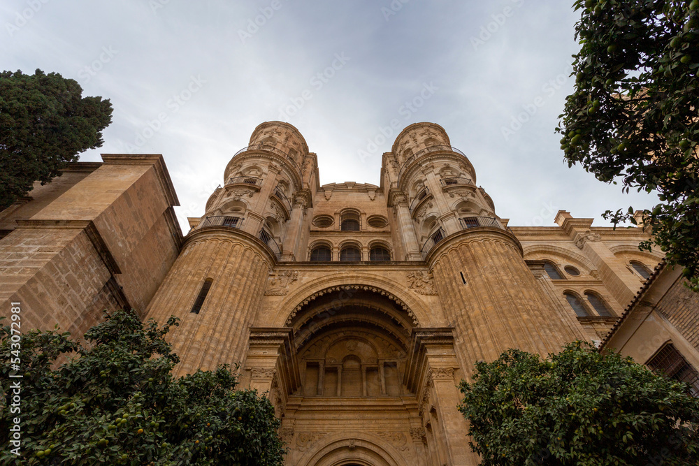 Obraz premium Málaga Cathedral in Malaga, Spain