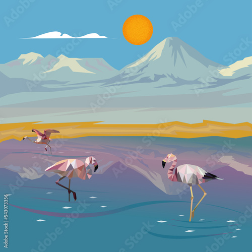 pink flamingos in the atacama desert chile, full lowpoly vector illustration nature animals, birds chile photo