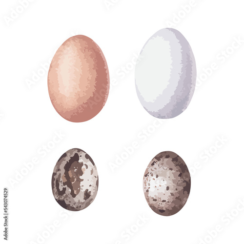 Vector watercolor style illustration of eggs set for breakfast