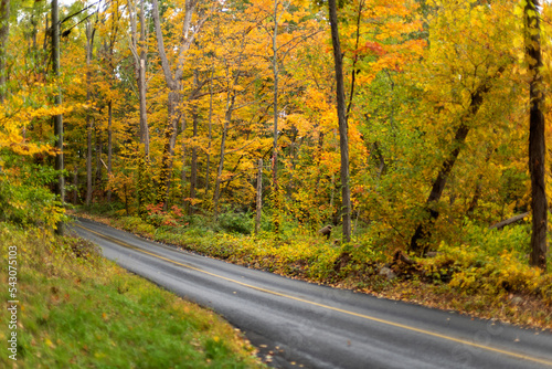Colorful road in autumn forest in Connecticut with fall foliage autumn colors, Wilton area