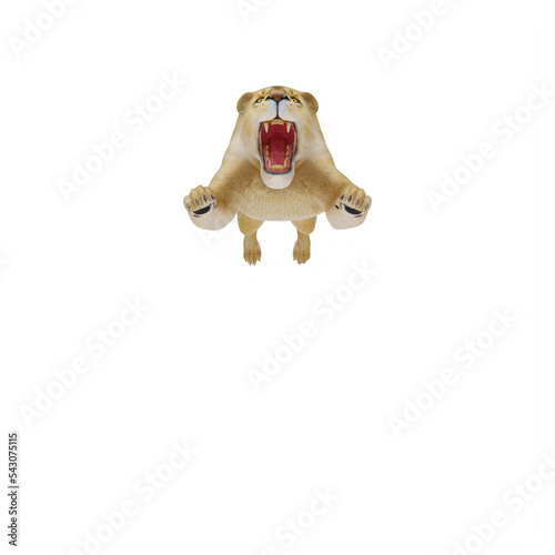 Lioness isolated photo