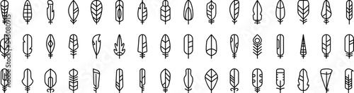 Feathers icons collection vector illustration design