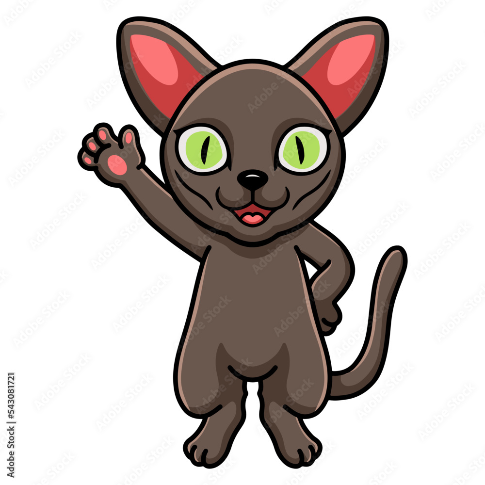 Obraz premium Cute korat cat cartoon waving hand