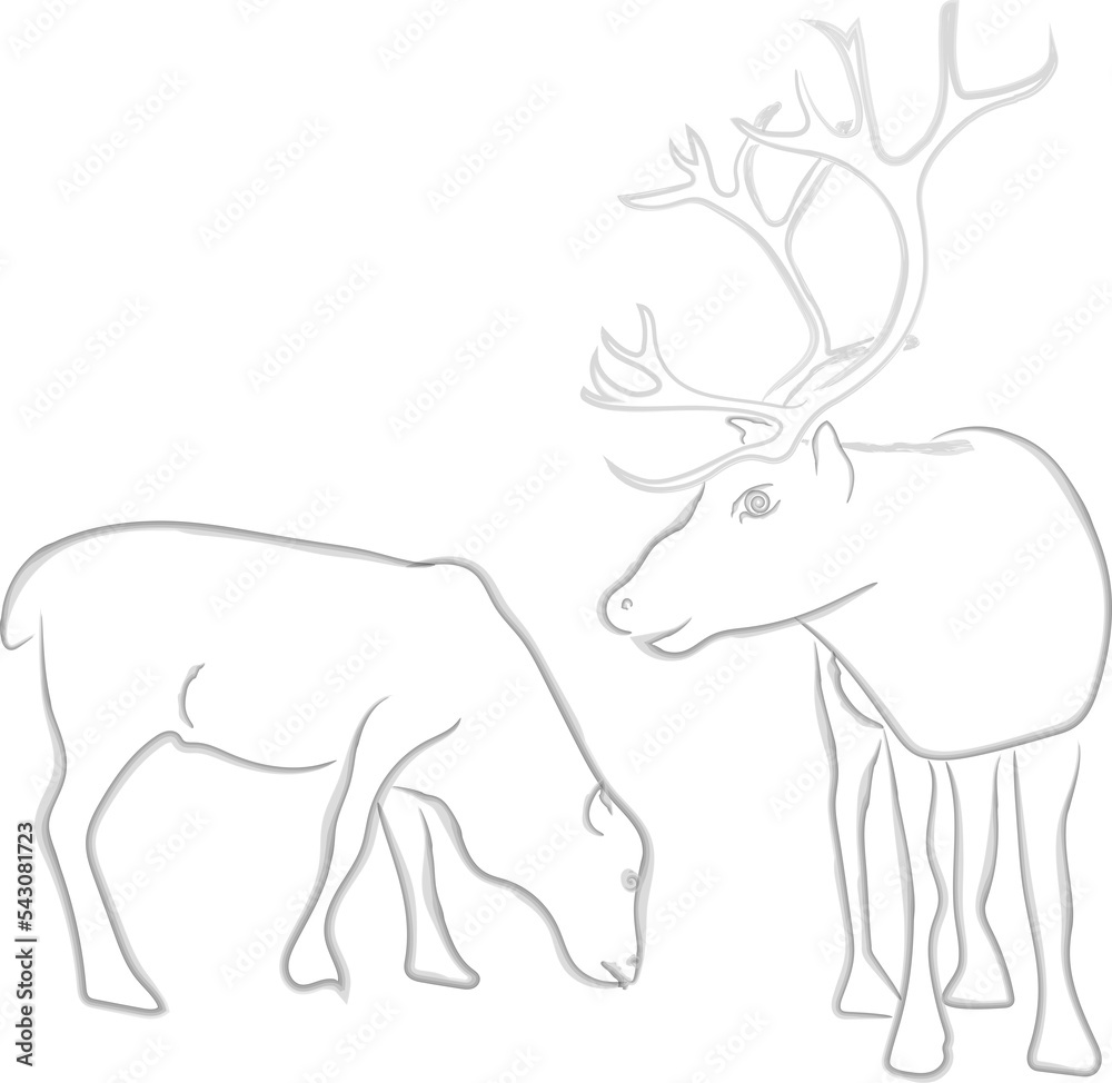 Illustration of two reindeers Illustration of two reindeers