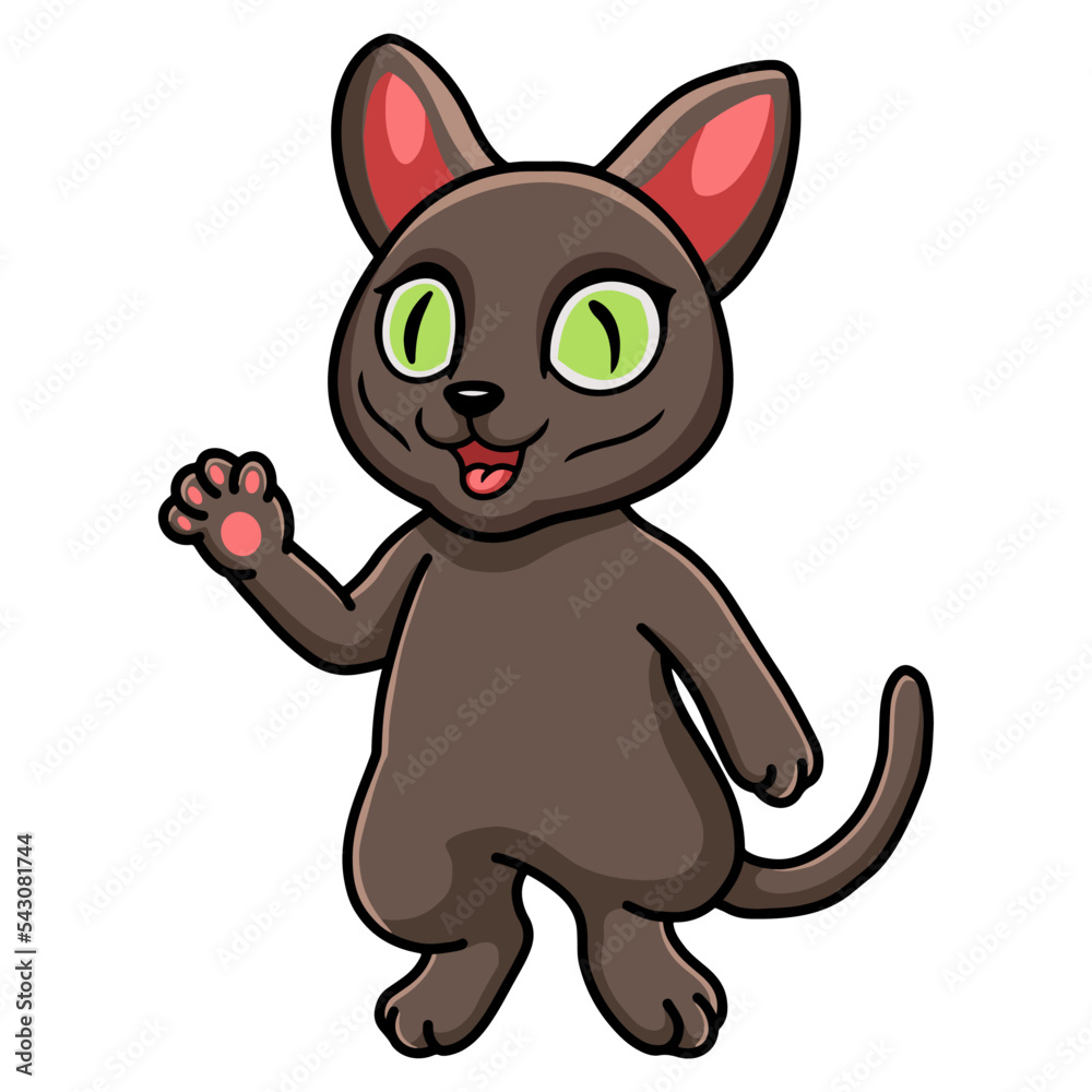 Cute korat cat cartoon waving hand Cute korat cat cartoon waving hand