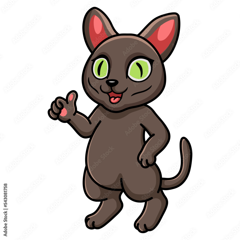 Cute korat cat cartoon giving thumbs up Cute korat cat cartoon giving thumbs up