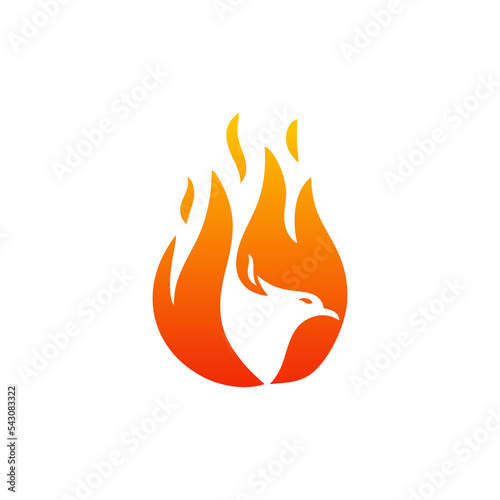 Fototapeta Naklejka Na Ścianę i Meble -  this is a bird and fire illustration logo