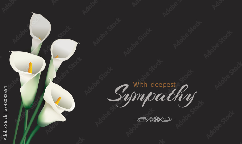 White calla flowers (arum lilies) mourning bouquet close-up in the black background. Vector conceptual illustration with the inscription With deepest sympathy and place for additional text. - obrazy, fototapety, plakaty 