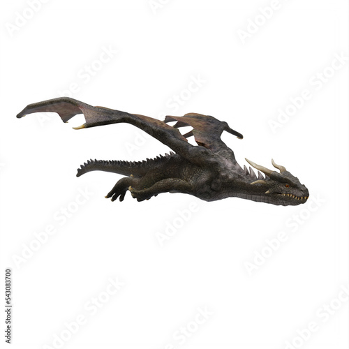 Dragon isolated