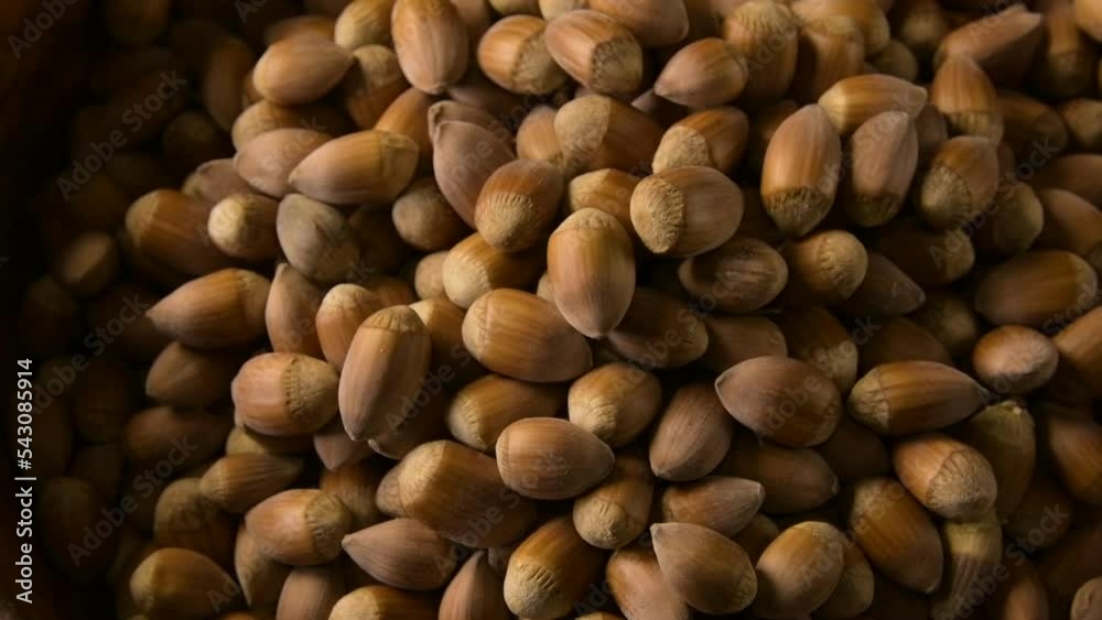 top view of hazelnuts falling in a recipient top view of hazelnuts falling in a recipient