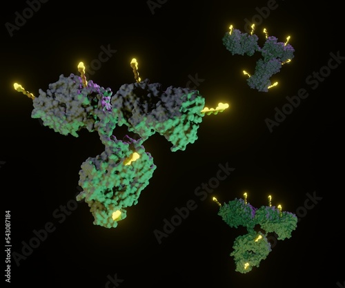 Antibody drug conjugates (ADCs) are targeted medicines that deliver chemotherapy agents to cancer cells 3d rendering photo