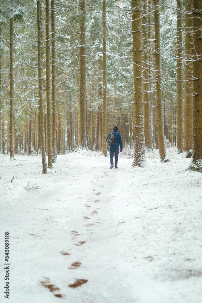 Winter season.Man in the natural environment in the cold season. Traveler in snowy forest.man with a backpack in snowy weather. Snowfall in the winter forest.