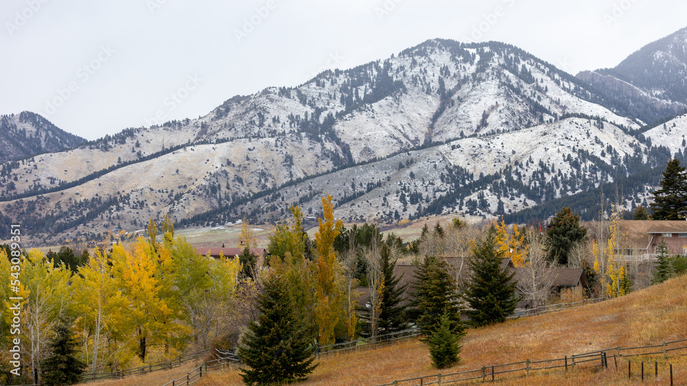 Fall Colors with Snow in Montana