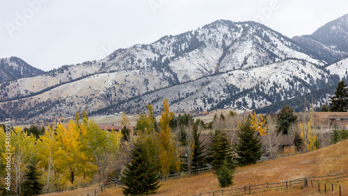 Fall Colors with Snow in Montana © Dylan