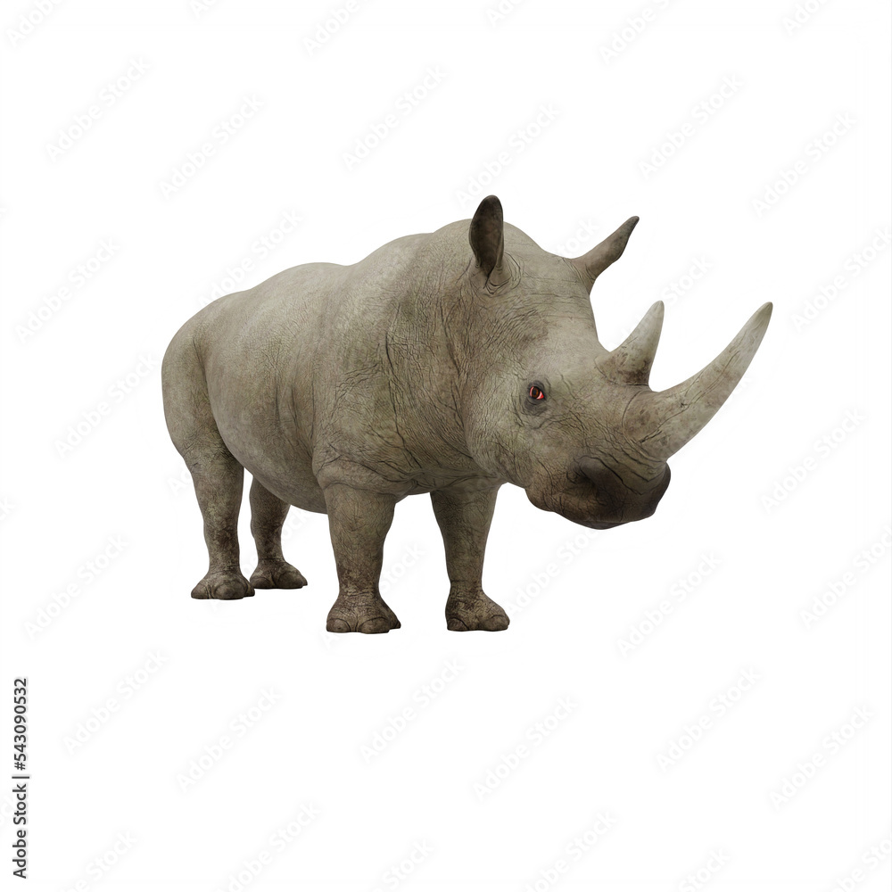 Fototapeta premium rhino isolated on white