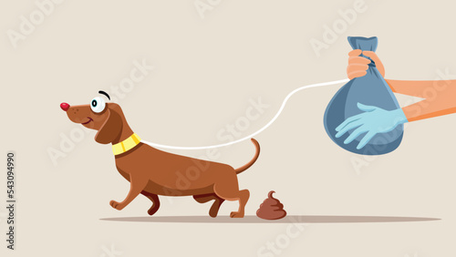 Dog Owner Gathering Excrement in Special Bag Vector Cartoon Illustration. Person obeying the law picking up litter after his pet animal
