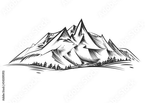 Hand drawn sketch black and white of mountains  tree landscape. Vector illustration. Elements in graphic style label  sticker  menu  package. Engraved style.