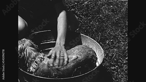 Doggie Bath 1949 - A man gives a dog bath to his Spaniel in the 1940s  photo