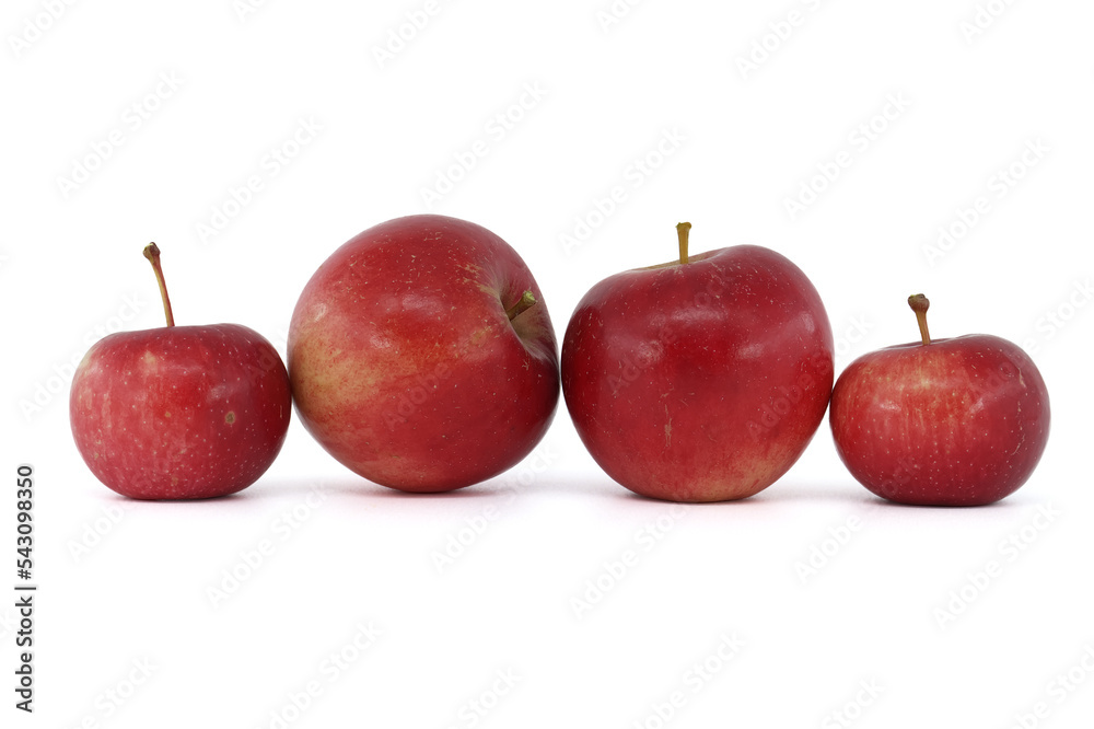 Freshly picked red apples on a white background Freshly picked red apples on a white background