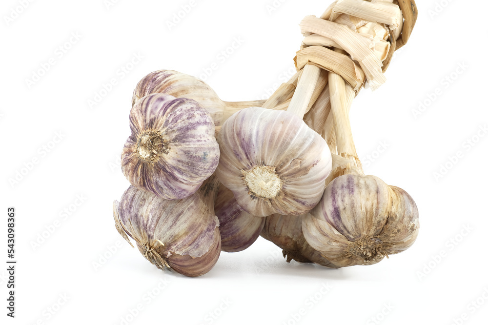 Obraz premium Braided garlic bulbs isolated on white background