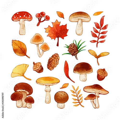 Vector illustration set of autumn nature elements in a watercolor style
