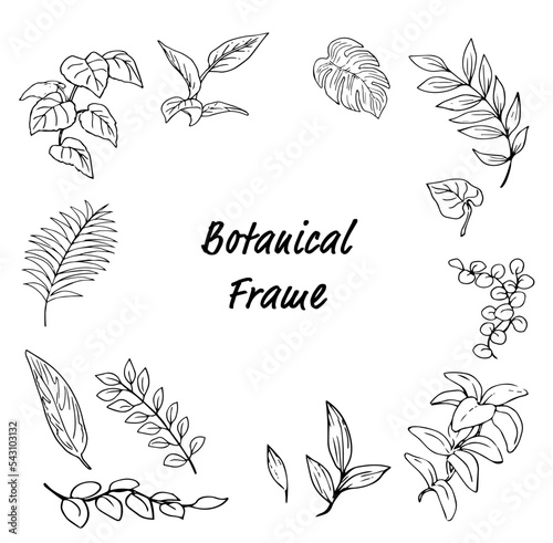 A botanical frame 