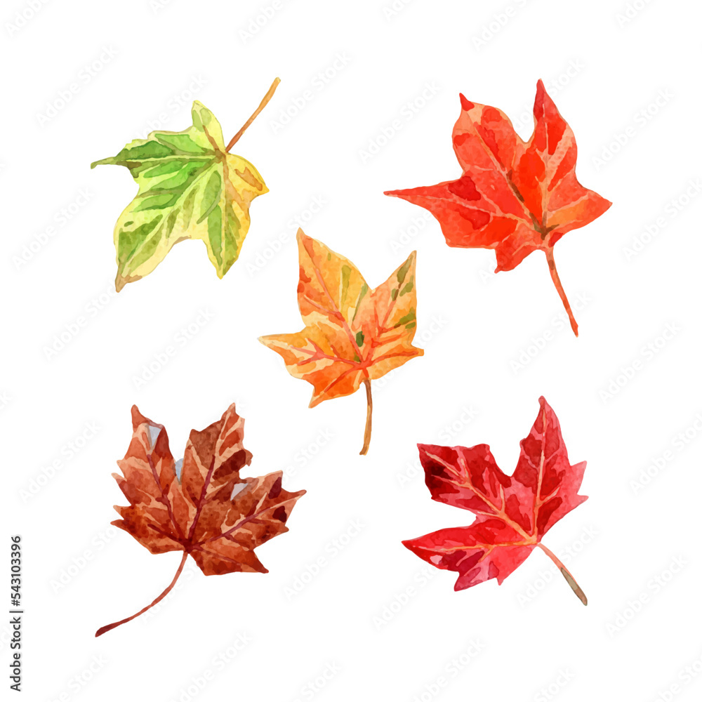 Watercolor autumn leaf elements collection Watercolor autumn leaf elements collection