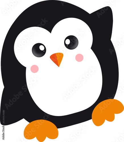 Cute Penguin Character