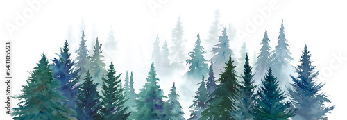 針葉樹林の水彩イラスト。森林の風景。パノラマ。 photo